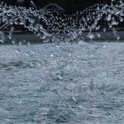 Gedc1216_card