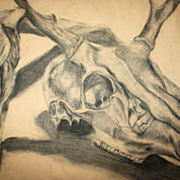 Portfolio_2_009_card