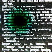 Point_female_card