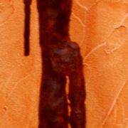 P9070055_card