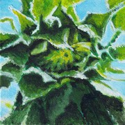 8-12-09__new_art_087