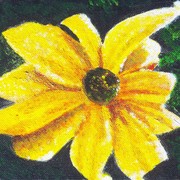 8-12-09__new_art_088_card