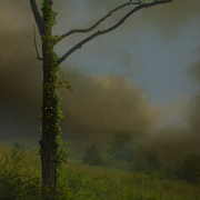 Evening_still_card