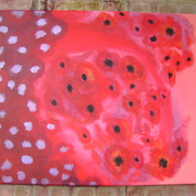 Dsc05347_card