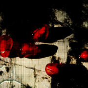 Nature02_artmoz_card