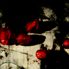 Nature02_artmoz_thumb