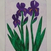 Iris_002_thumb