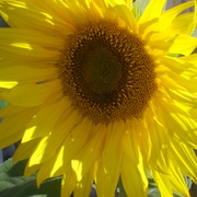 Myphotos_004_card