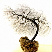 1315_copper_wire_tree_h_21__inches_card