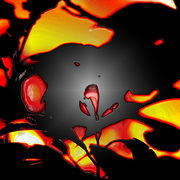 Ss8_card