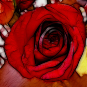 In_the_hands_of_a_rose_web_card