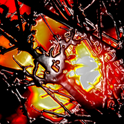 Ss11_card