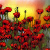 Rote_pracht_ww5000_jpg_thumb