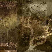 Nocturne_card
