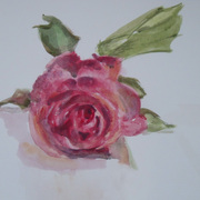Rose_card