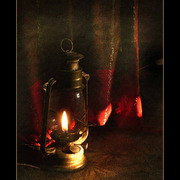Pict1386alampamale_card