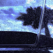 Raintree-ws-copy_card