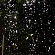 Rain_1_card