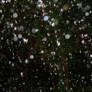 Rain_4_card