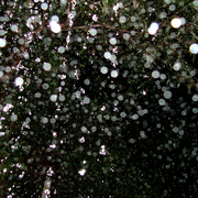 Rain_3_card