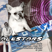 Palestars_dog_poster_card