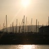 Img_3528_thumb