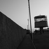Img_3537_thumb