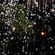 Rain_14_card