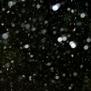 Rain_13_card