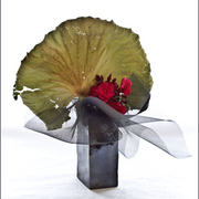 Ikebana-147_card