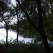Gedc1335_card