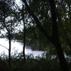 Gedc1335_thumb