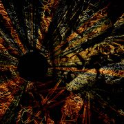 Dsc04257ap3_card