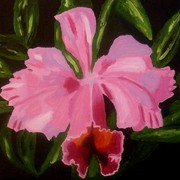 R_orchid_card