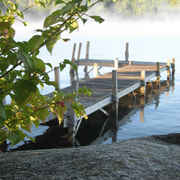The_dock_card