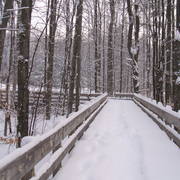 Winter_bridge_card