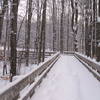 Winter_bridge_thumb