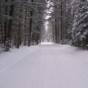 Winter_road_card
