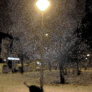 Neve_golosine_143_card