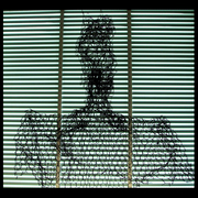 Chicken_wire_card