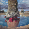 La_pierna_del_elefante_thumb