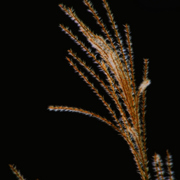 Img_6789ab_card