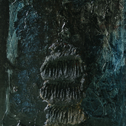 Can_2_card