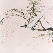 102-0002_img_card