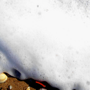 Foam_card