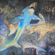 Shark_card