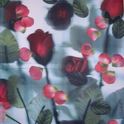 Pb130004_card