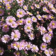 Img_0993_card