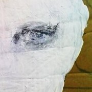 Eye_card