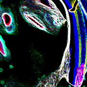 Lib_portrait_2_card